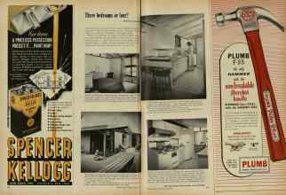 Better Homes & Gardens June 1956 Magazine Article: Page 166