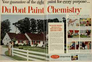 Better Homes & Gardens June 1956 Magazine Article: Page 186