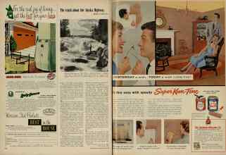 Better Homes & Gardens June 1956 Magazine Article: Page 206