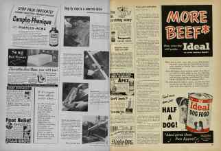 Better Homes & Gardens June 1956 Magazine Article: Page 220