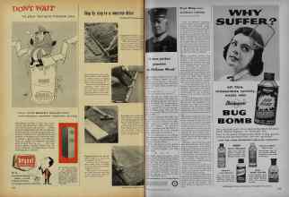 Better Homes & Gardens June 1956 Magazine Article: Page 222