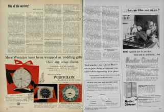 Better Homes & Gardens June 1956 Magazine Article: Page 226