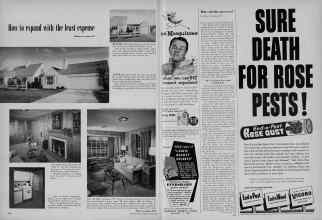 Better Homes & Gardens June 1956 Magazine Article: Page 230