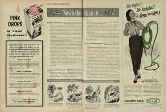 Better Homes & Gardens June 1956 Magazine Article: Now's the time to
