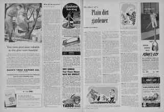 Better Homes & Gardens June 1956 Magazine Article: Page 238