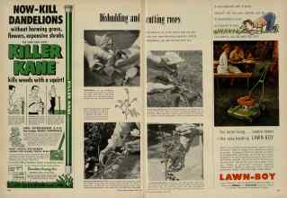 Better Homes & Gardens June 1956 Magazine Article: Page 240