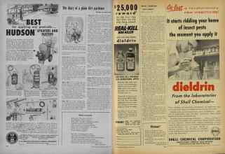 Better Homes & Gardens June 1956 Magazine Article: Page 246