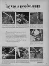 Better Homes & Gardens July 1956 Magazine Article: Easy ways to a pest-free summer