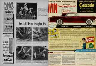 Better Homes & Gardens July 1956 Magazine Article: Page 18