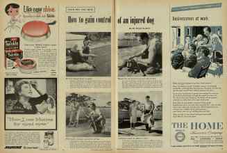 Better Homes & Gardens August 1956 Magazine Article: How to gain control of an injured dog