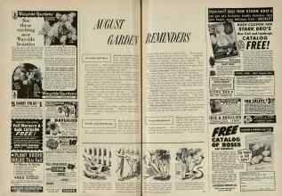 Better Homes & Gardens August 1956 Magazine Article: AUGUST GARDEN REMINDERS