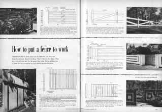 Better Homes & Gardens September 1956 Magazine Article: How to put a fence to work
