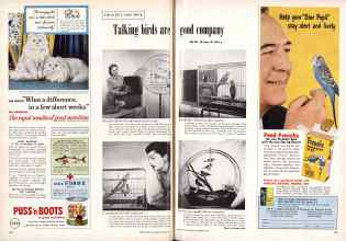 Better Homes & Gardens September 1956 Magazine Article: Talking birds are good company