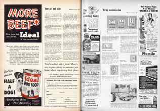 Better Homes & Gardens September 1956 Magazine Article: Page 216