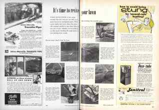 Better Homes & Gardens September 1956 Magazine Article: It's time to revive tour lawn