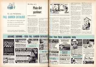Better Homes & Gardens September 1956 Magazine Article: The diary of a Plain dirt gardener