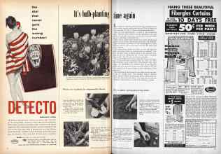 Better Homes & Gardens October 1956 Magazine Article: It's bulb-planting time again