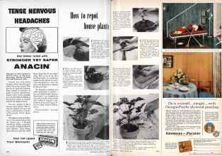 Better Homes & Gardens October 1956 Magazine Article: Page 284