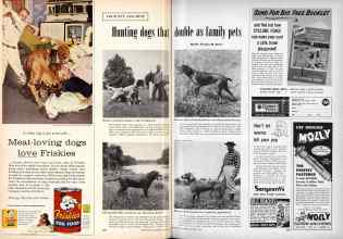 Better Homes & Gardens October 1956 Magazine Article: Page 308