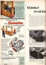 Better Homes & Gardens November 1956 Magazine Article: Fall planting of trees and Shrubs