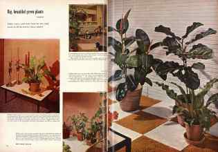 Better Homes & Gardens November 1956 Magazine Article: Page 62