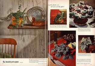 Better Homes & Gardens November 1956 Magazine Article: Page 64