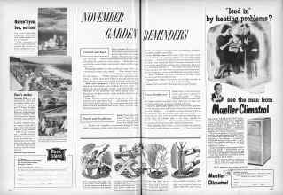 Better Homes & Gardens November 1956 Magazine Article: NOVEMBER GARDEN REMINDERS