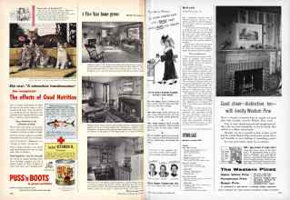 Better Homes & Gardens November 1956 Magazine Article: Page 250