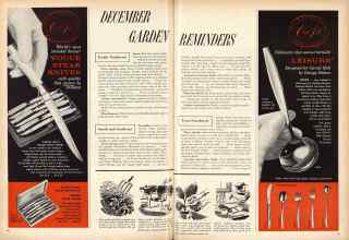 Better Homes & Gardens December 1956 Magazine Article: DECEMBER GARDEN REMINDERS