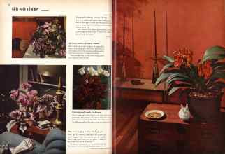 Better Homes & Gardens December 1956 Magazine Article: Page 68