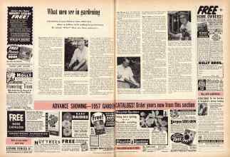 Better Homes & Gardens December 1956 Magazine Article: What men see in gardening