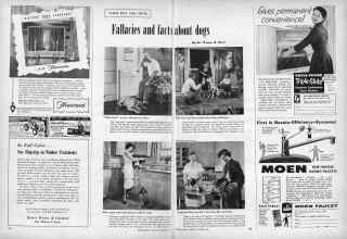 Better Homes & Gardens December 1956 Magazine Article: Fallacies and facts about dogs