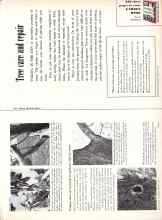 Better Homes & Gardens February 1957 Magazine Article: Tree care and repair
