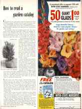 Better Homes & Gardens February 1957 Magazine Article: How to read a garden catalog