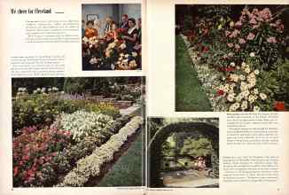 Better Homes & Gardens February 1957 Magazine Article: Page 54