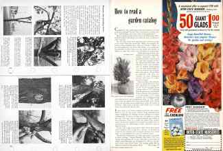 Better Homes & Gardens February 1957 Magazine Article: Page 170