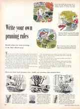 Better Homes & Gardens March 1957 Magazine Article: Write your own pruning rules