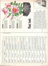 Better Homes & Gardens March 1957 Magazine Article: Plant foods