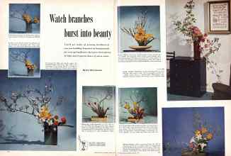 Better Homes & Gardens March 1957 Magazine Article: Page 72