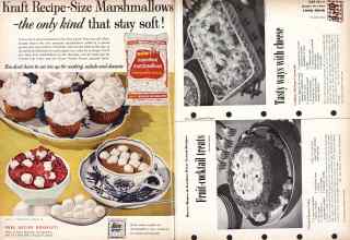 Better Homes & Gardens March 1957 Magazine Article: Page 102