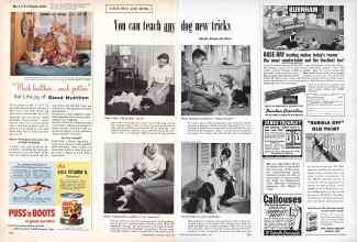 Better Homes & Gardens March 1957 Magazine Article: Page 228