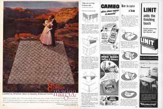 Better Homes & Gardens April 1957 Magazine Article: Page 236