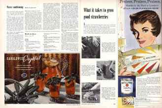 Better Homes & Gardens April 1957 Magazine Article: Page 244