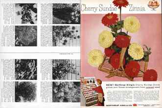 Better Homes & Gardens April 1957 Magazine Article: Page 362