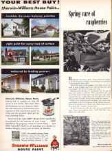 Better Homes & Gardens May 1957 Magazine Article: Spring care of raspberries