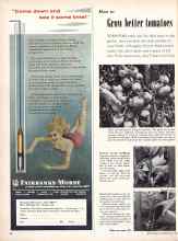 Better Homes & Gardens May 1957 Magazine Article: How to Grow better tomatoes