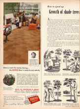 Better Homes & Gardens May 1957 Magazine Article: How to speed up Growth of shade trees