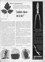 Better Homes & Gardens May 1957 Magazine Article: 