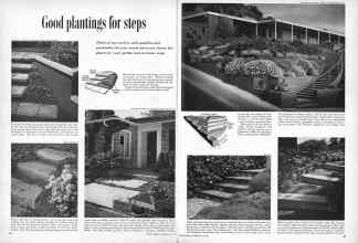 Better Homes & Gardens May 1957 Magazine Article: Good plantings for steps