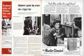 Better Homes & Gardens May 1957 Magazine Article: Page 238